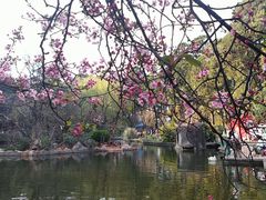 -昆明动物园