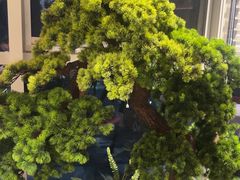 -苏淮景·苏闽融创菜·海鲜(原空港井河轩店)