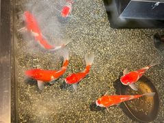 -0776食堂·京城创意菜(七里庄店)