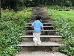 -晓港公园