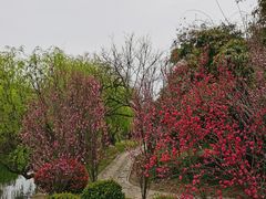 -贵阳市花溪国家城市湿地公园