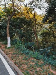 点击看大图 -佛灵湖水上乐园