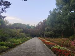 -上海滨江森林公园