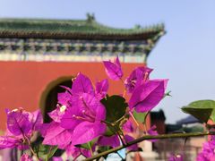 -天坛公园