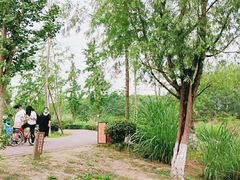 -白鹭湾湿地公园