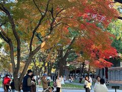 -苏州大学(天赐庄校区)