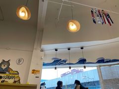 大堂-南京Hallo宠物乐园·哈罗犬舍·柴犬繁育基地