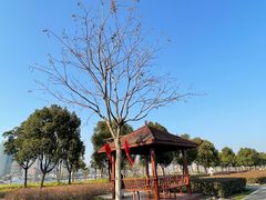 -上海山野camping·户外天幕烧烤·团建拓展营地