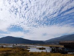 -腾冲北海湿地