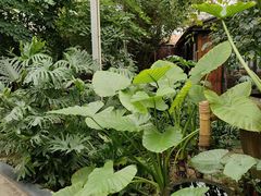 -金稼园·金平湖农家菜