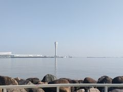 -上海吴淞炮台湾国家湿地公园