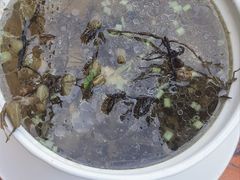 -吴祥记潮州菜·百年老字号·砂锅粥