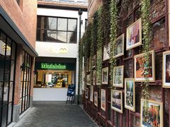 -Madeleine玛德琳(永平里店)