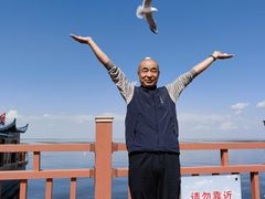 -白洋淀景区