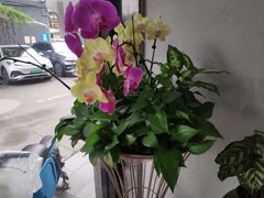 -麦当劳(中山大道中店)