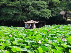 -兰亭风景区