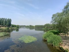 -马家湾湿地公园