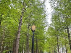 -上海浦江郊野公园-3号停车场