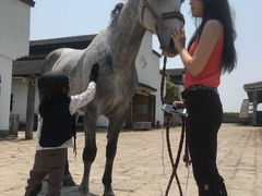 -松声马术俱乐部