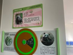 -秦皇岛野生动物园