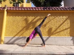 -兴亚瑜伽20年老馆