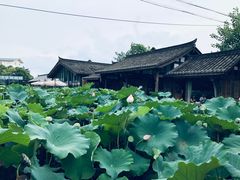 -莫催咖啡