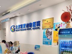 -北京观赏动物医院·24小时大型综合·猫专科·异宠专科