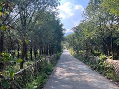 -莫干山风景区