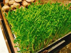 -捞神汤物料理(正大广场店)