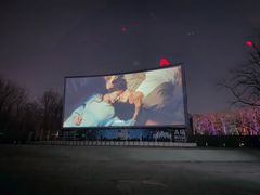 -枫花园汽车电影院(朝阳公园店)