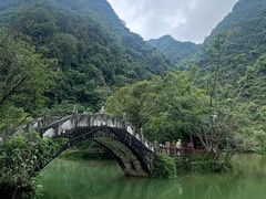 -靖西鹅泉风景区