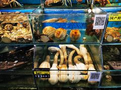 -岳各庄批发市场(西四环中路店)