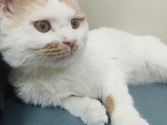 -美联众合动物医院·24h京西诊疗中心
