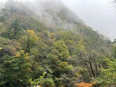 -青峰峡国家森林公园
