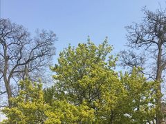 -大连市第二十四中学