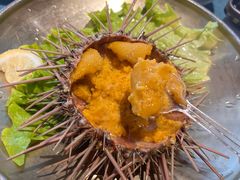 -日月明小渔村•海肠捞饭•大连海鲜(星海广场店)