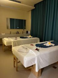 -隐逸SPA