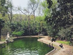 -南山风景名胜区