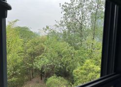 -金芙美月子中心(财富别墅店)