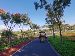 -上海长兴岛郊野公园