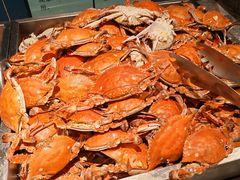 螃蟹-禾斗海鲜自助(市南银座店)