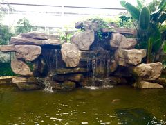 -汤山翠谷生态餐厅