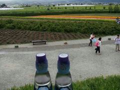 android_upload_pic-富田农场