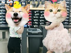 -迪卡侬(南二环店)