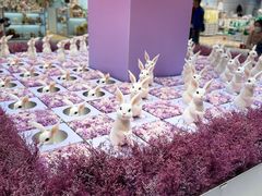 -远洋未来广场(育慧北路店)