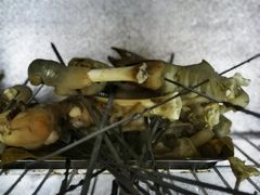 -高原第一家资格烤羊肉(玉林南路总店)