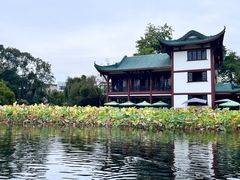-桂湖森林公园