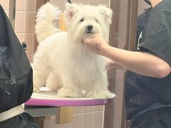 -FAELING PETS美天灵宠物(富力广场店)
