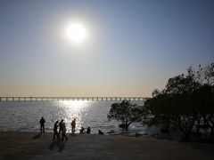 -宝安西湾红树林湿地公园