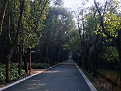 -同里国家湿地公园